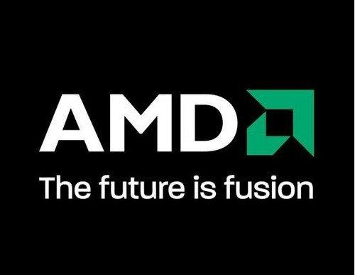 AMD创历史新高期权多头激增