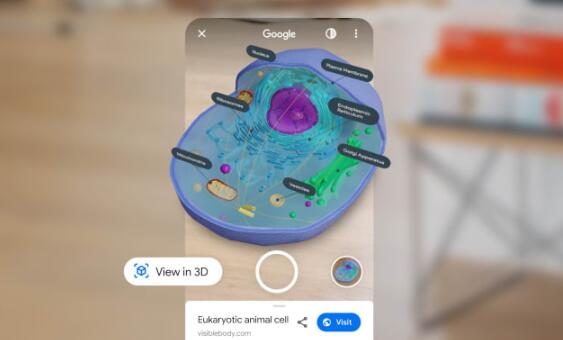 Google可以直接在搜索页面上为您提供AR科学课程