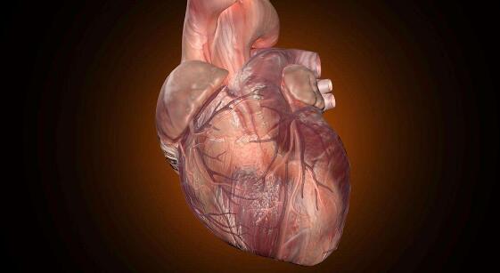 即使是轻微的心脏缺陷也与成年后的长期问题相关