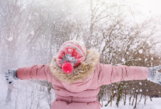 丹·勒布的第三点揭示了它在雪花中的利益