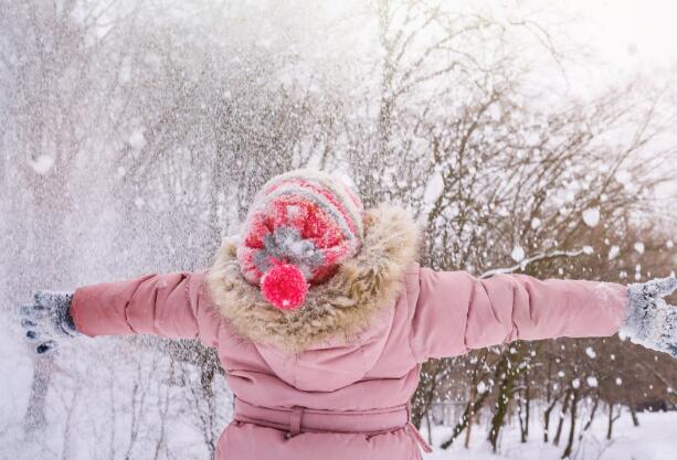 丹·勒布的第三点揭示了它在雪花中的利益