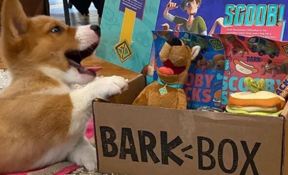 如何购买BarkBox的SPAC首次公开募股