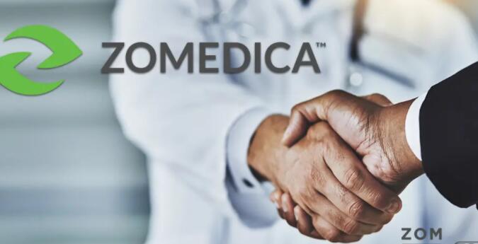 Zomedica Pharmaceutical股票的年初至今回报率超过300％
