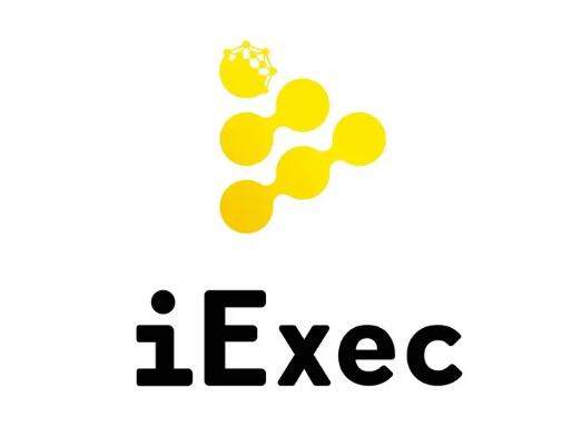 iExec RLC令牌是具有良好前景的良好投资