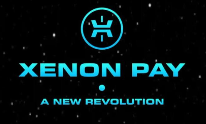 Xenon Pay股票的价格预测