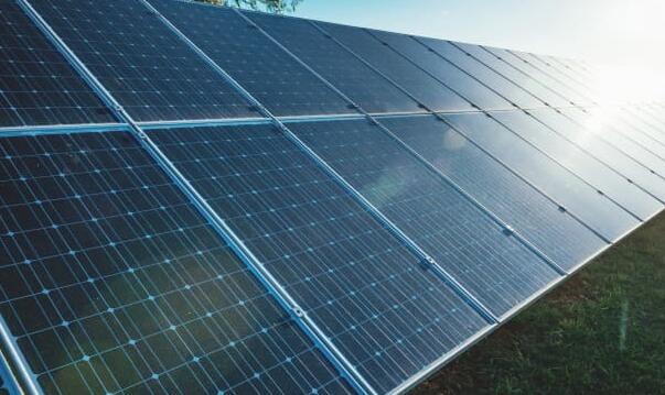 荷兰的试点项目将结合农业和太阳能