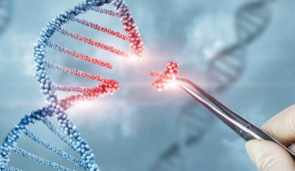 迄今为止这家基因编辑专家的股票现在下跌了约37%