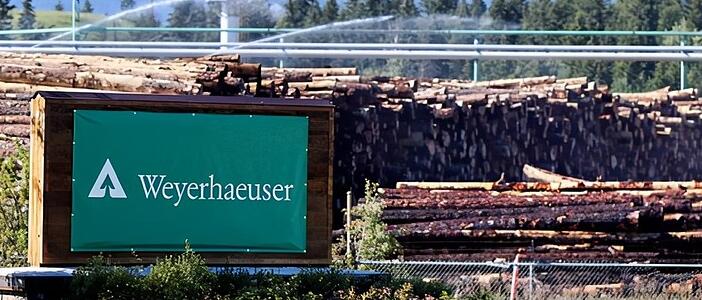 木材公司Weyerhaeuser多年来一直押注于强劲的房地产市场 首席执行官表示