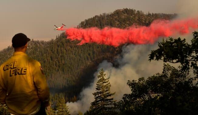今年从美国到土耳其的野火产生了创纪录的排放量