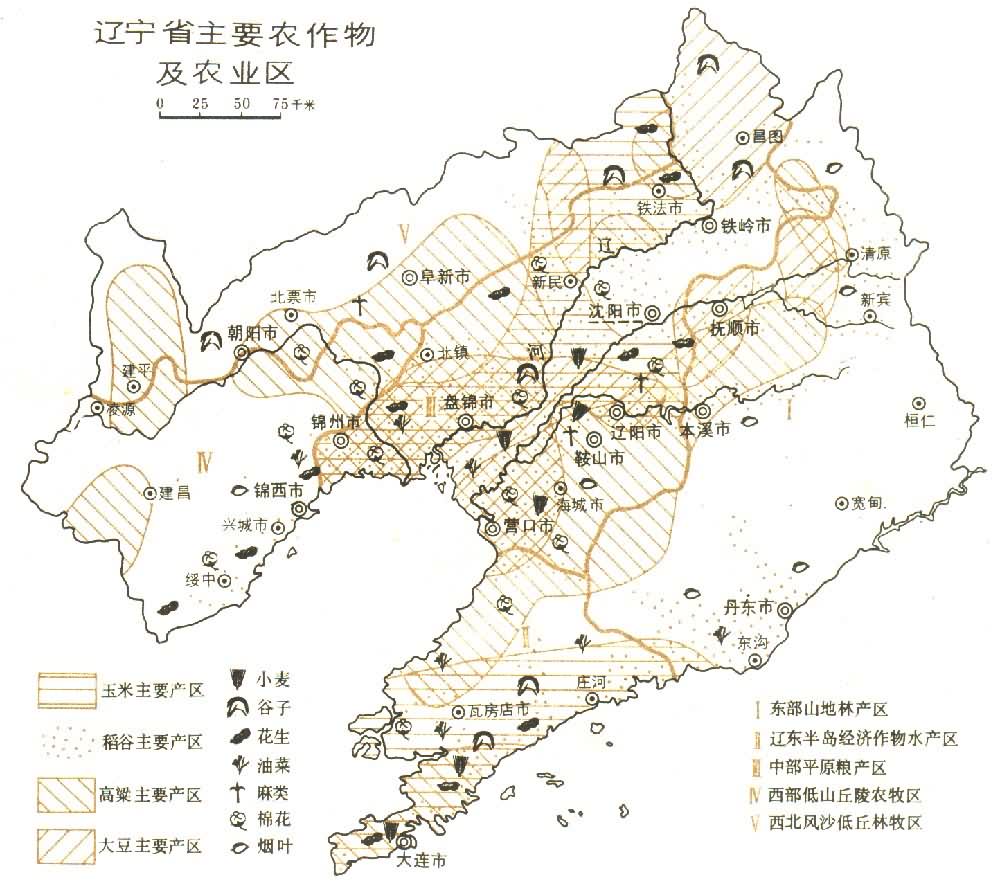 鞍山二手车交易市_鞍山肿瘤医院医生简介_沈阳鞍山市简介