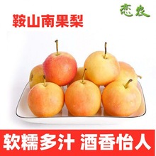 【蒙古记忆】鞍山座落在旅游攻略（二）——鞍山