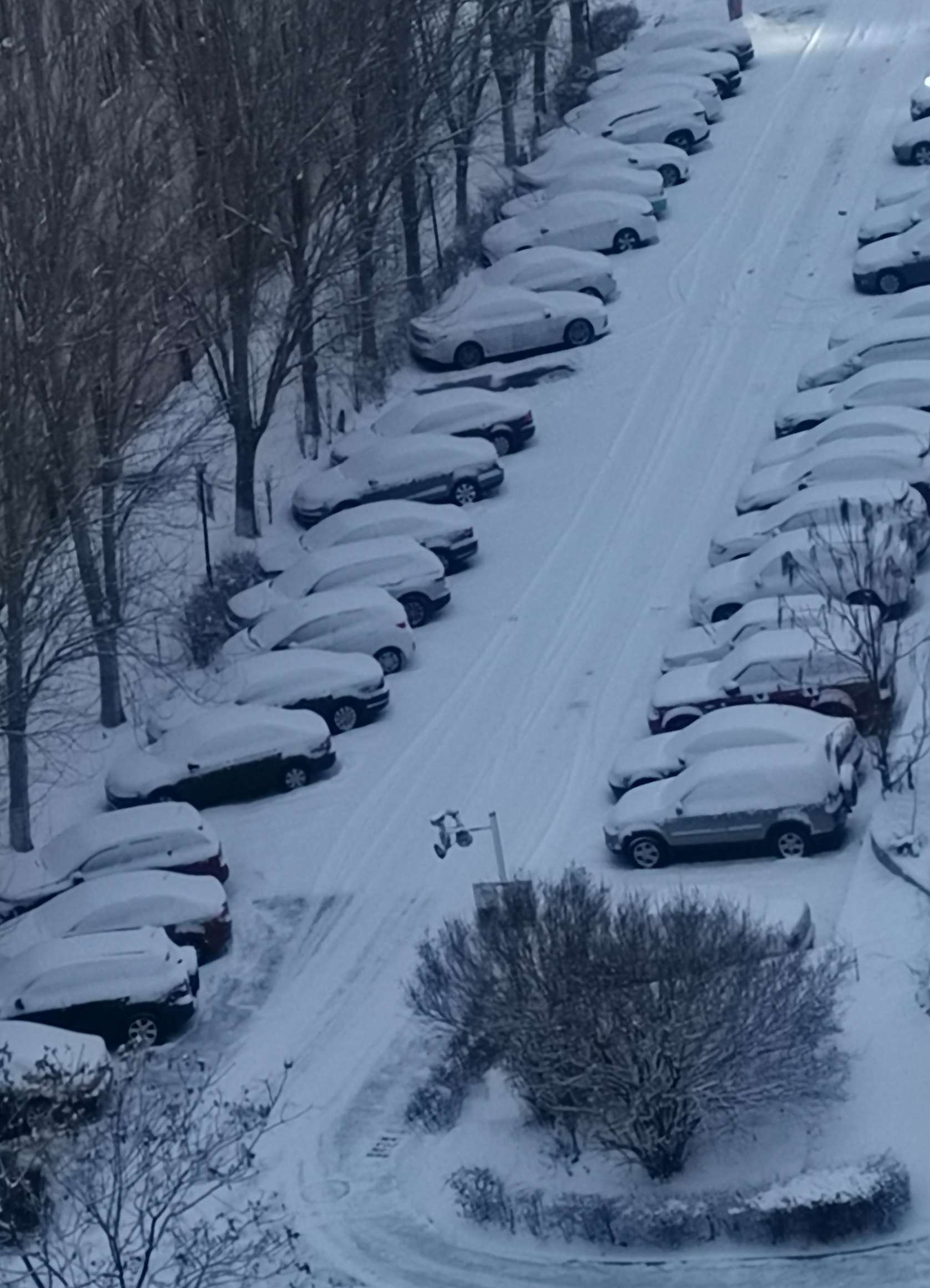 辽宁男篮接触外援消息_辽宁舰台湾海峡消息_辽宁降雪最新消息学校