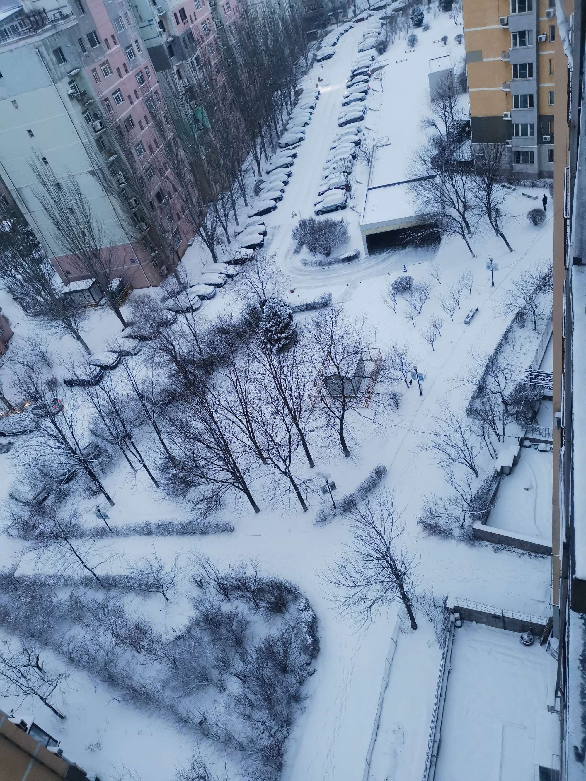 辽宁降雪最新消息学校_辽宁男篮接触外援消息_辽宁舰台湾海峡消息