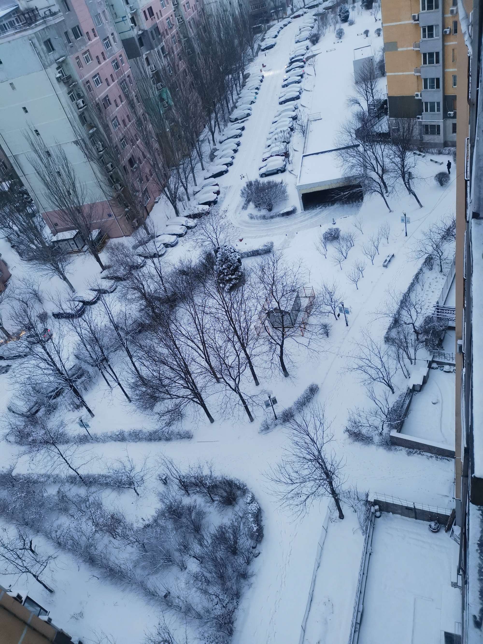 辽宁降雪最新消息学校_辽宁男篮接触外援消息_辽宁舰台湾海峡消息