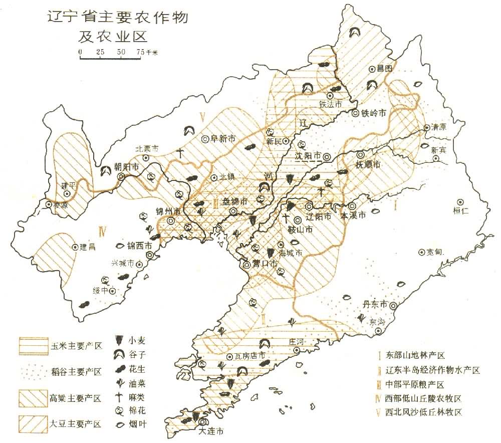 2020年辽宁省下辖地市排名情况如何呢？(如有)