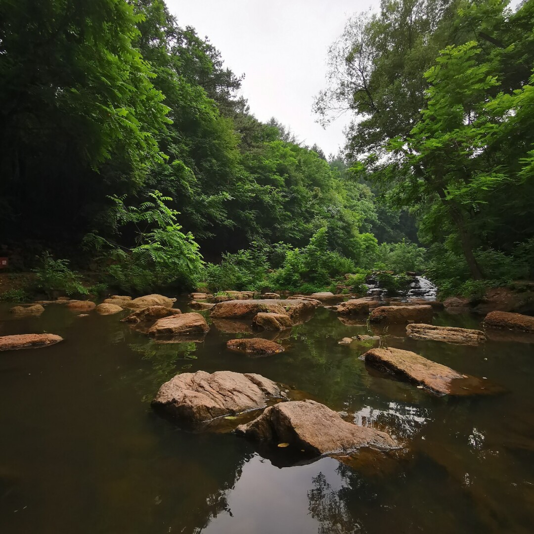 鞍山小朋友一日游景点_鞍山郊区免费景点大全_鞍山旅游景点